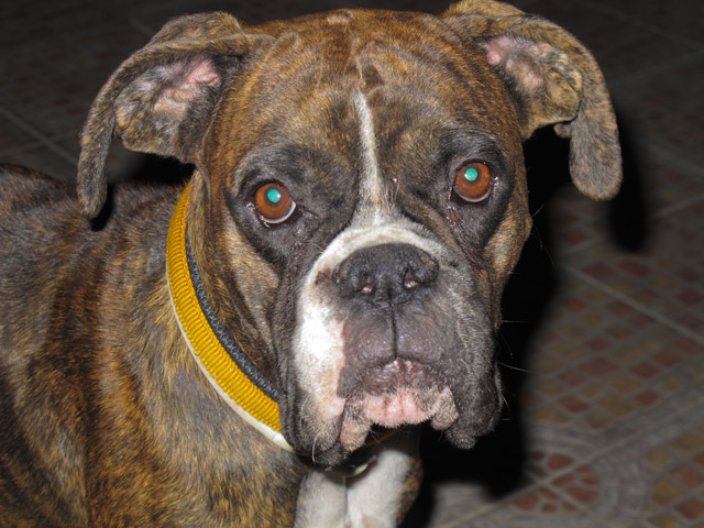 Lulu