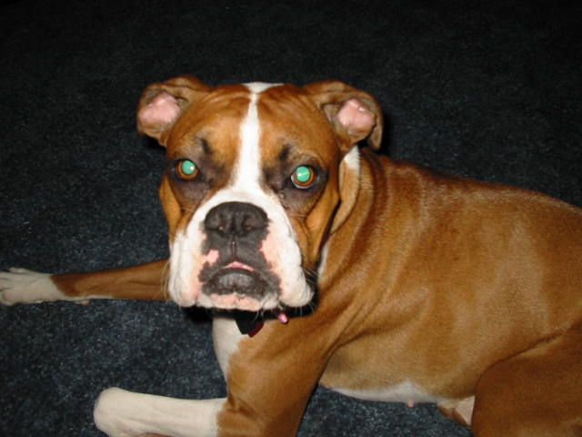 LuLuBelle McMichael