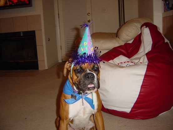 Lulu's first birthday