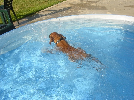 Lulu's first swim