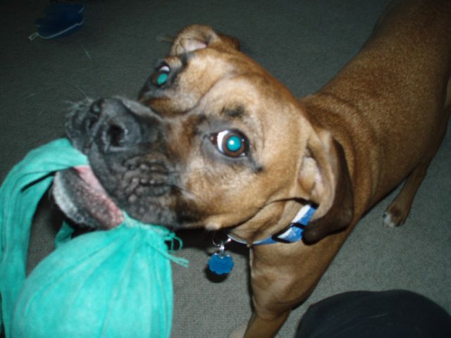 Luna and her beloved Wubba Wubba