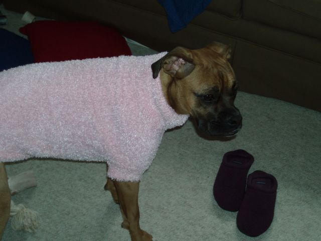 Lunas new sweater