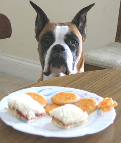 Lunchtime