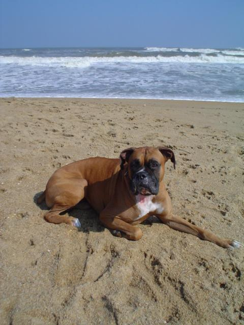 Luvthebeach