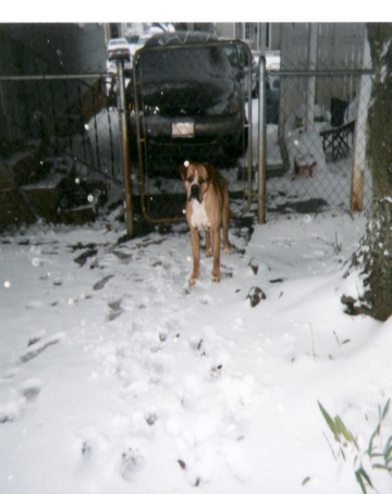 Ma, it's cold! Can I go inside?