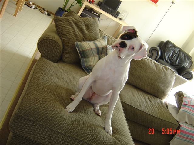 "Ma, the camera's a little cockeyed?"