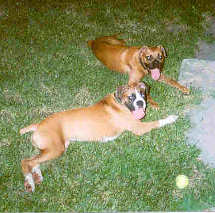 Mabel & Kaiser