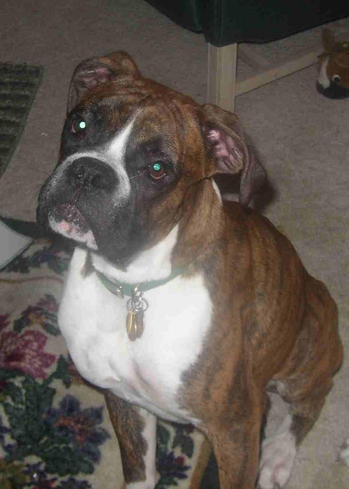 Mabel's brother