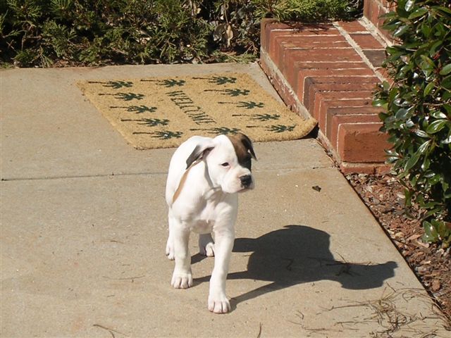 Mable 9 weeks