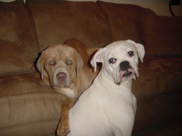 Mable and Max