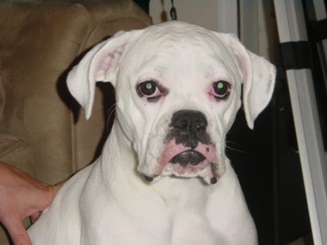 Mable