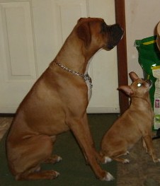 Mac and Precious