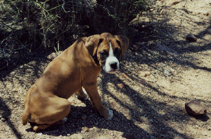 Mac being a hiker!