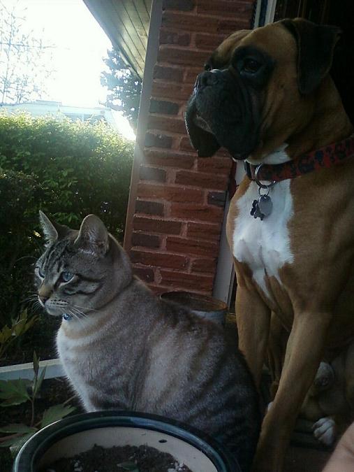 Mac & Kitty Friend