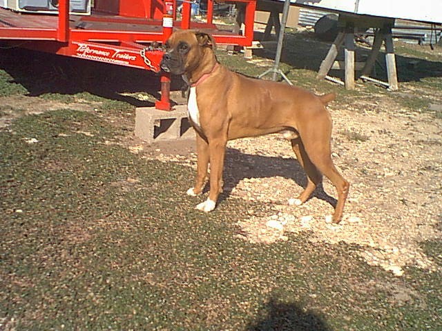 Mack 1