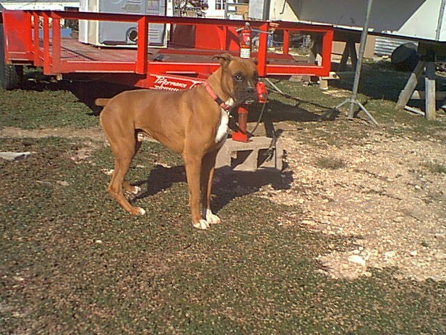 Mack 2