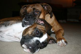 Mack and Molly