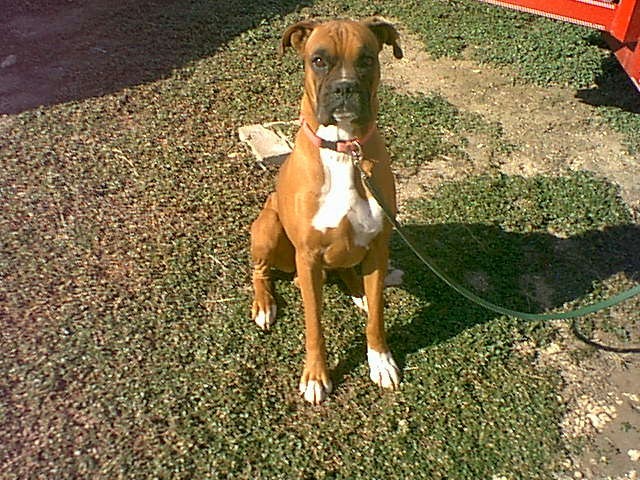 Mack Sitting