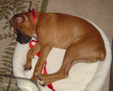 Mack:  Sleeping???