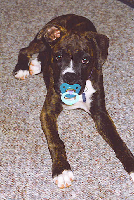 MacKenzie and her nuk