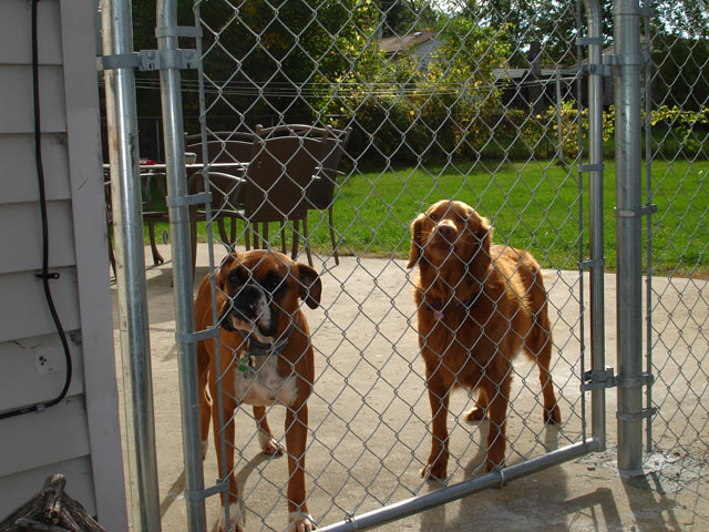 Macon and Angel