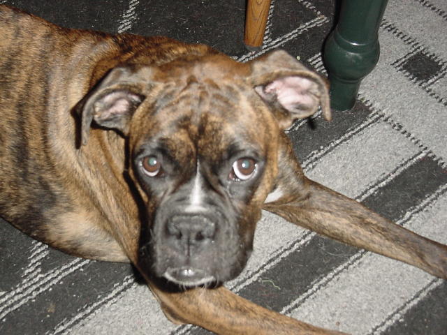Macy Mae