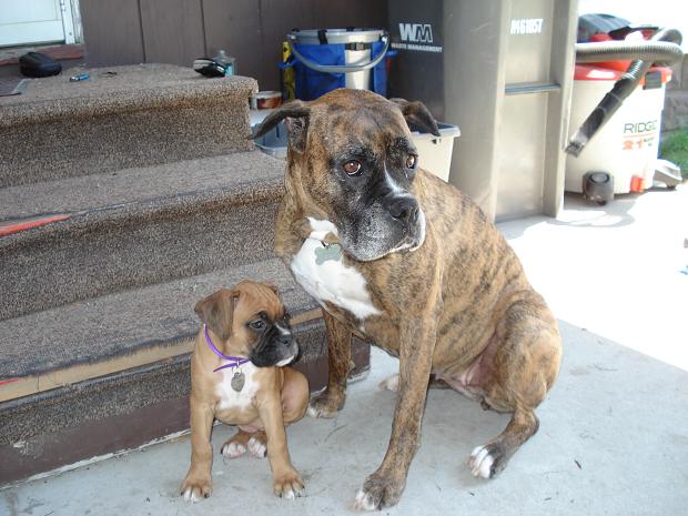 macy,mercedes