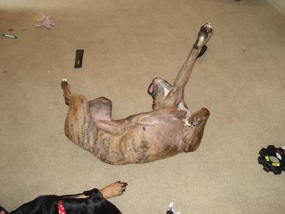 macy sleepin