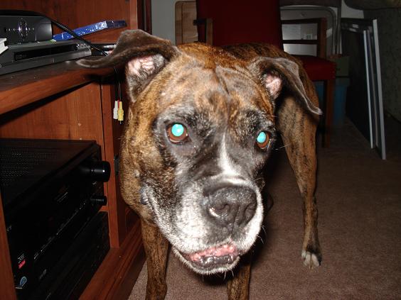 macy