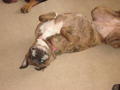 macy