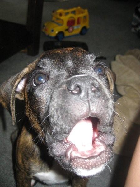 Mad at Camera