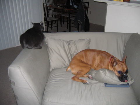 mad at each other!
