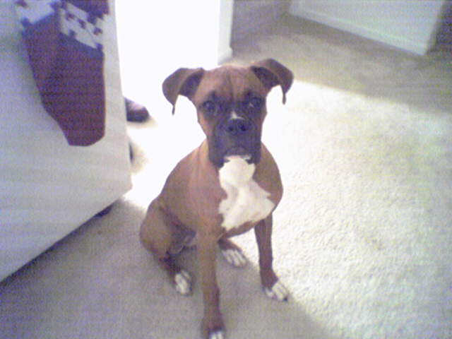 Maddalyn @ 6 Months Old