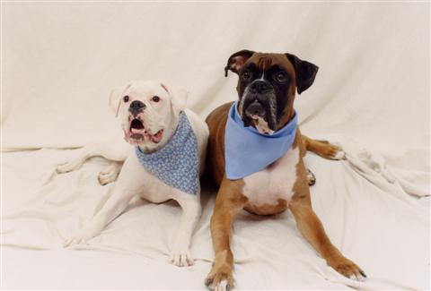 Maddie and Chance