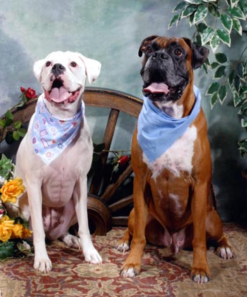 Maddie and Chance