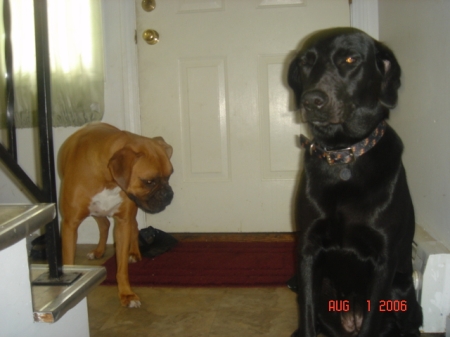 Maddie & Gracie