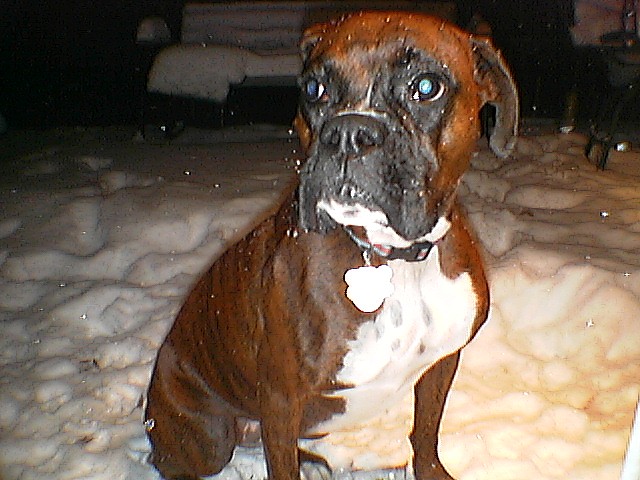 maddie in the snow