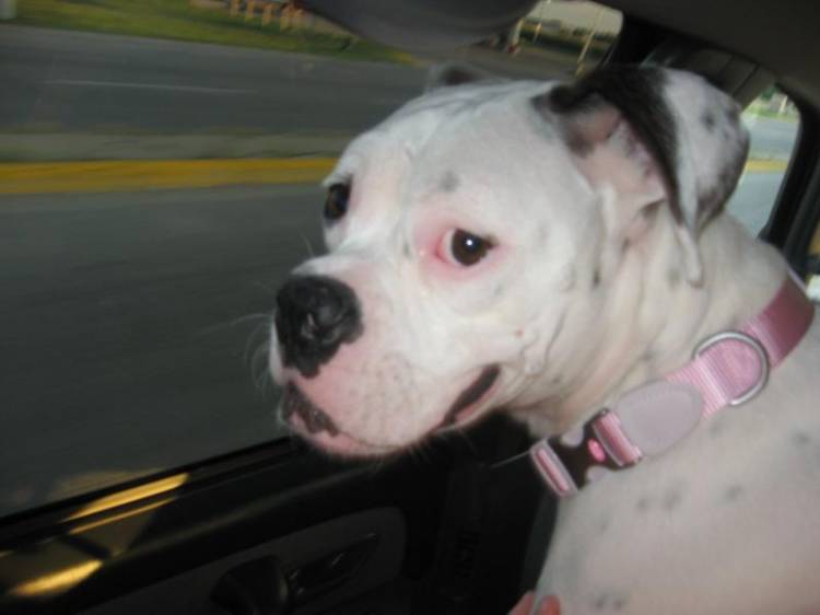 Maddie on her car ride home to meet her new family.