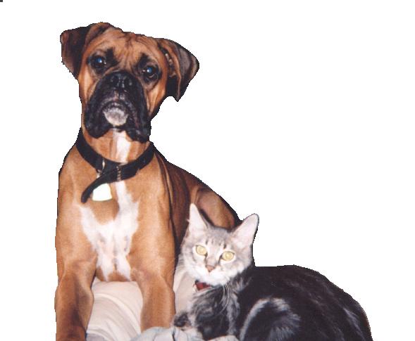 Maddox and his kitten, Peyton