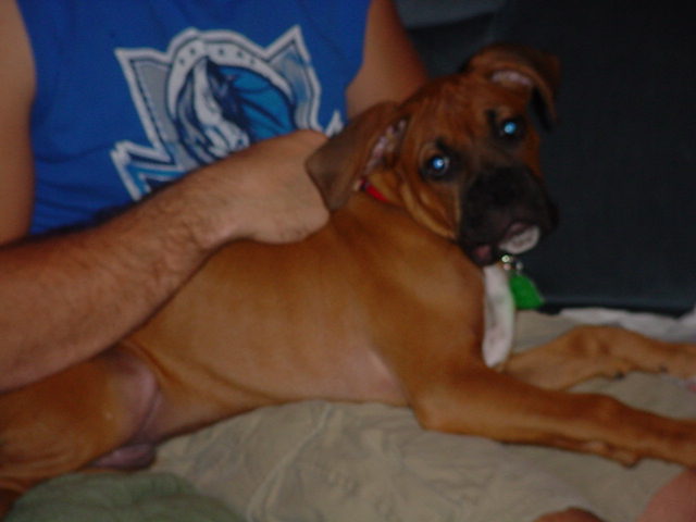 Maddox at 3 months