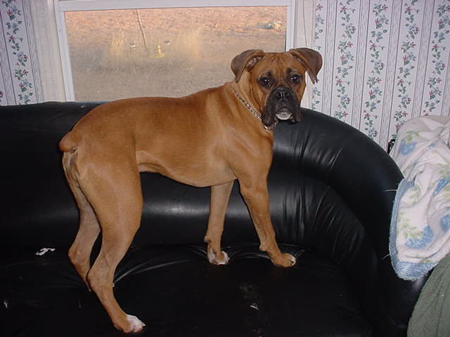 Maddox at 9 months