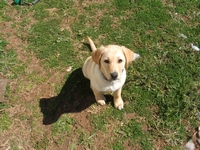 Maddy's friend, Bailey
