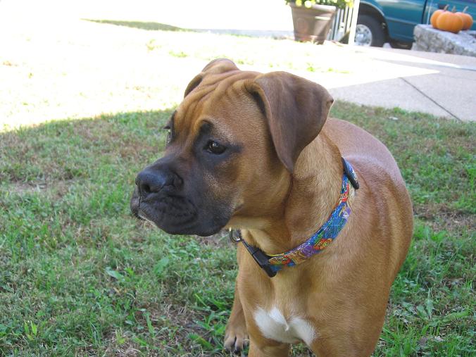 Madi at 5 months.