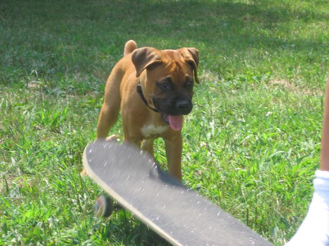 Madi skateboarding