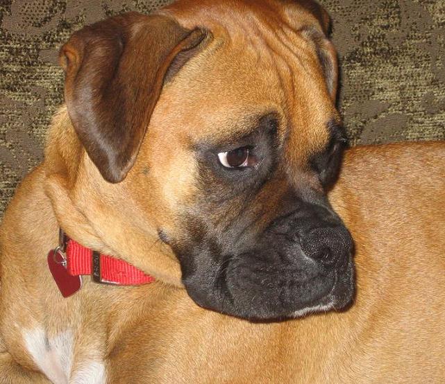 Madi, you ignoring me?