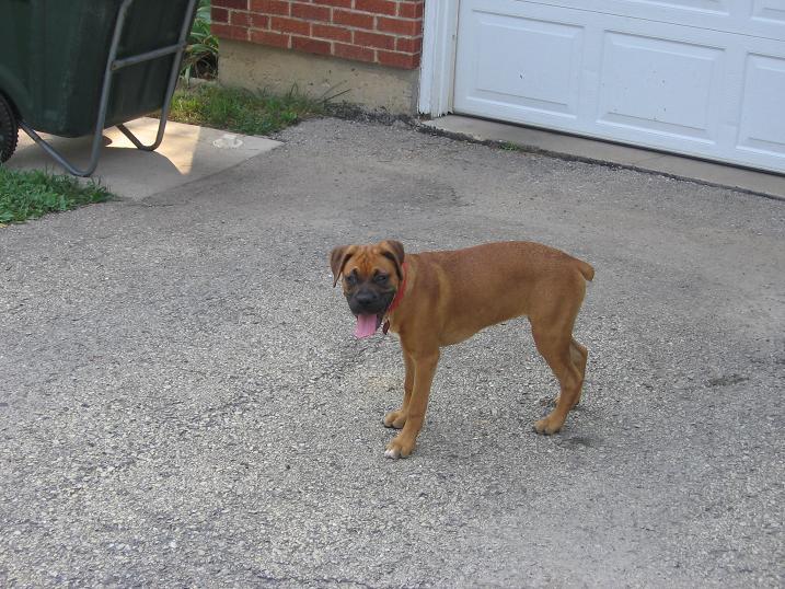Madi4months