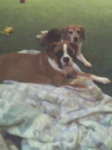 Madison and her friend