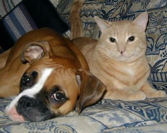 Madison and her kitty, Parker.