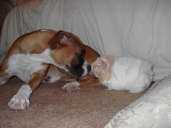 Madison and Ruby