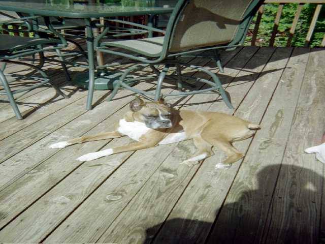 Madison Deck